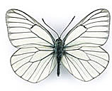 Pro zvětšení klikněte