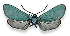 Pro zvětšení klikněte